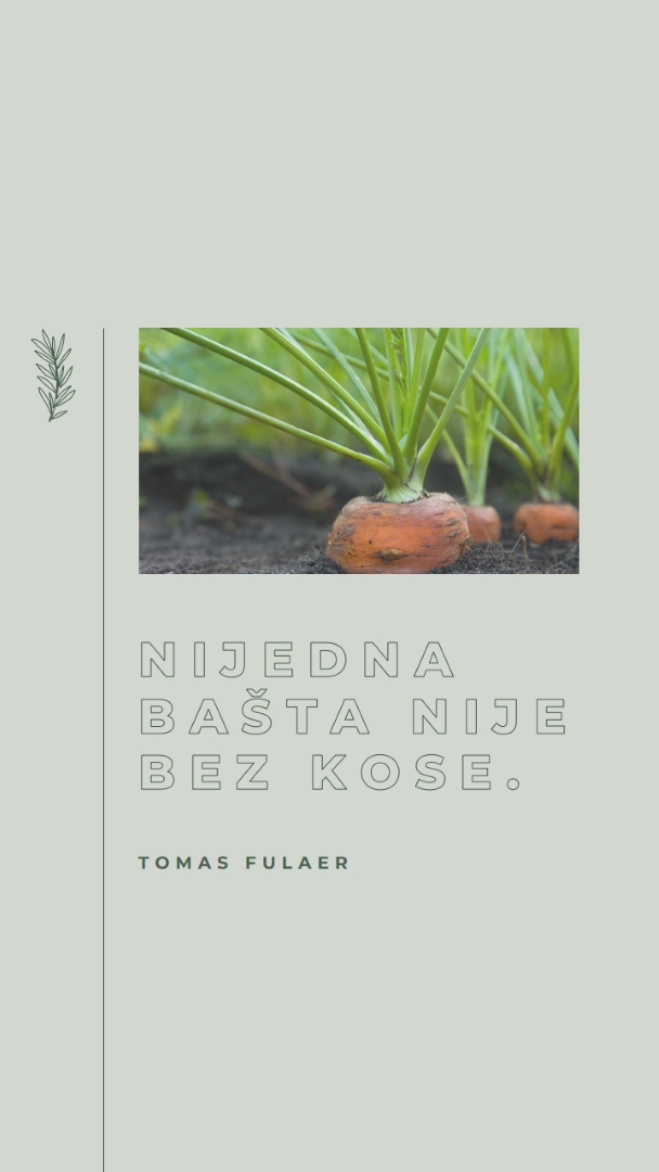 Duboki koreni green modern-simple