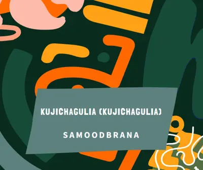 U čast Kujichagulia green whimsical-color-block