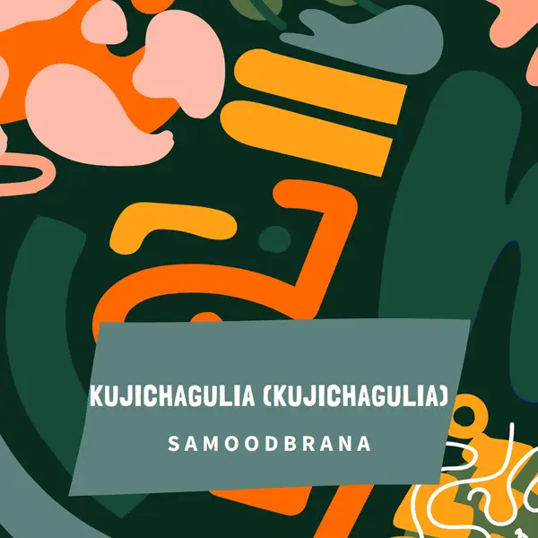 U čast Kujichagulia green whimsical-color-block