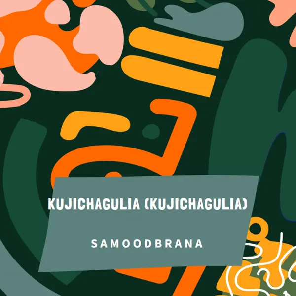 U čast Kujichagulia green whimsical-color-block