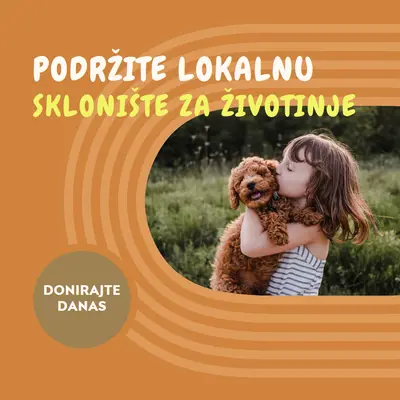 Pomoжnik za skloniљte orange whimsical-color-block