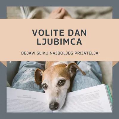 Tvoj najbolji prijatelj gray modern-simple