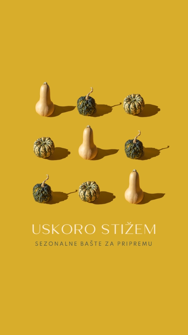 Baštovana zabava yellow modern-simple