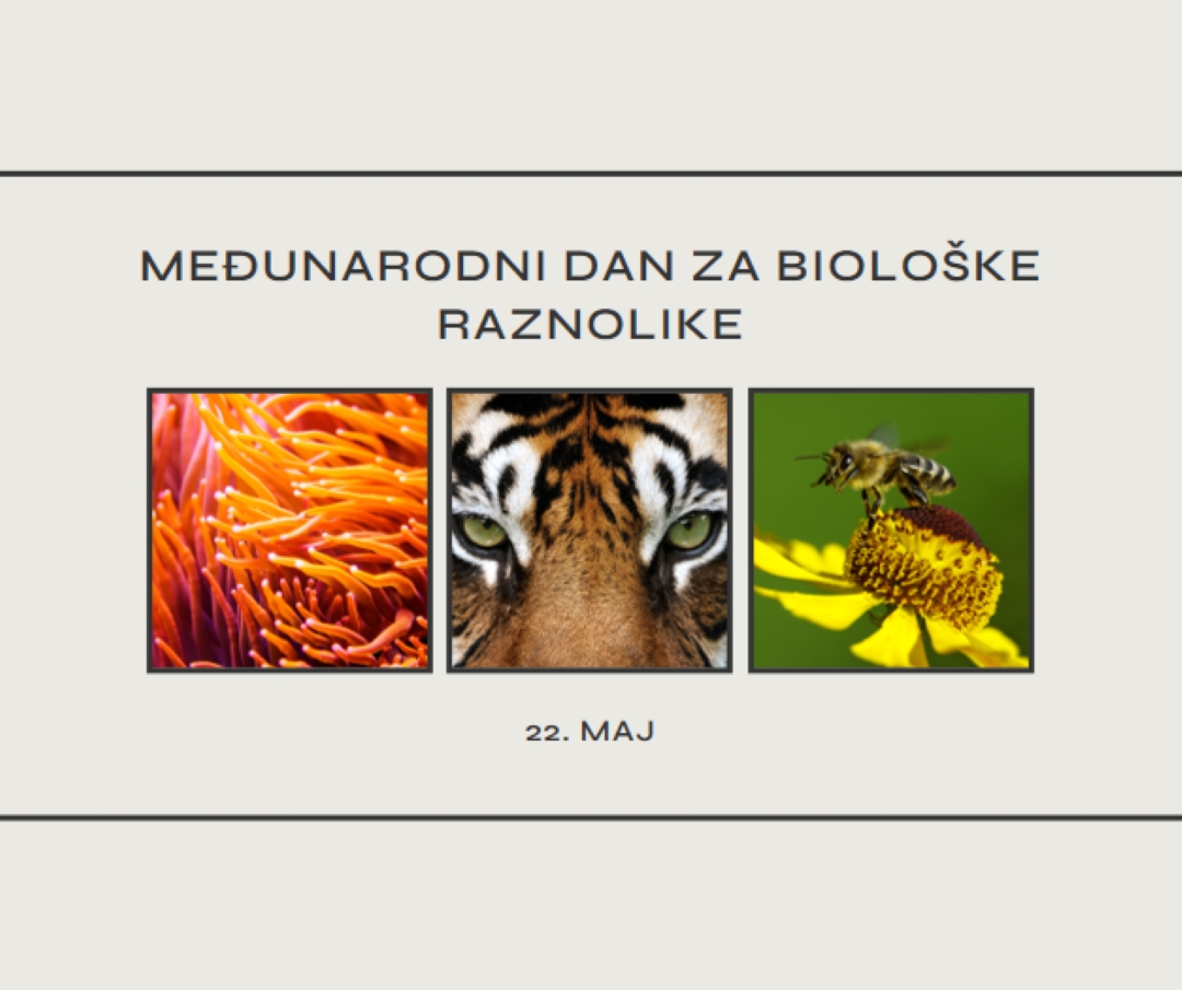 Revitalizacija prirode gray modern-simple