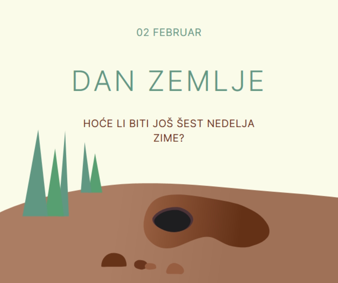 Dole niz rupu brown whimsical-color-block