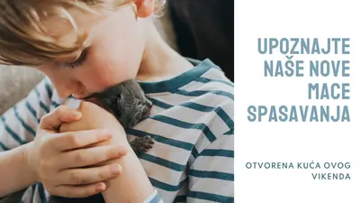 Upoznajte naša nova spasavanja pink modern-simple