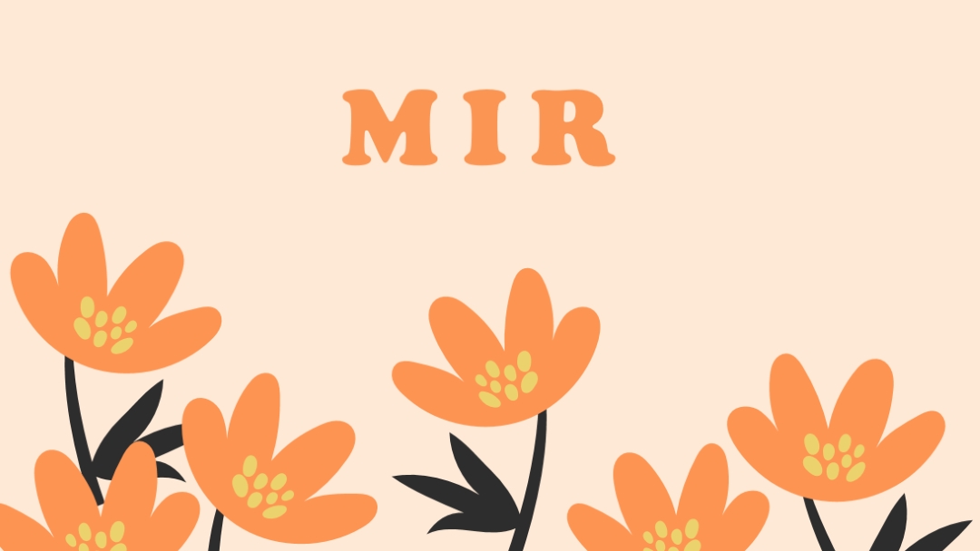 Mirni sati orange organic-simple