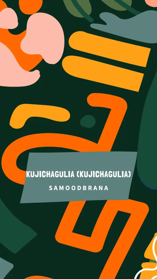 U čast Kujichagulia green whimsical-color-block