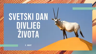 Slavimo divlje životinje orange modern-bold