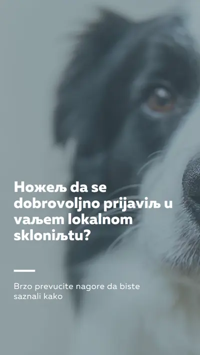 Dobrovoljno i unesite veselje blue modern-simple