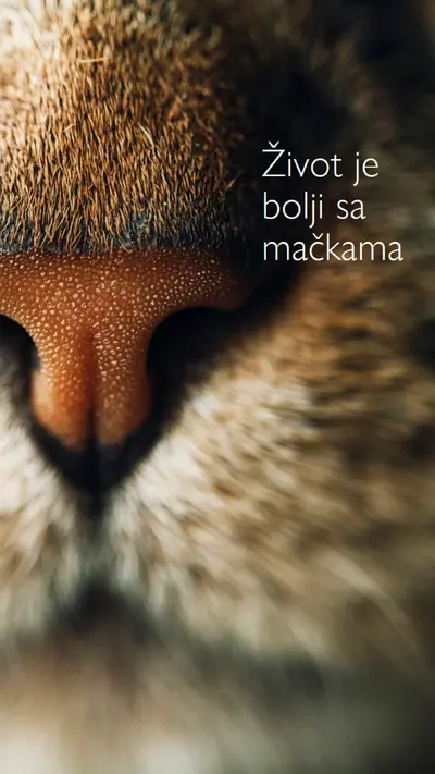 Život je bolji sa mačkama brown modern-simple