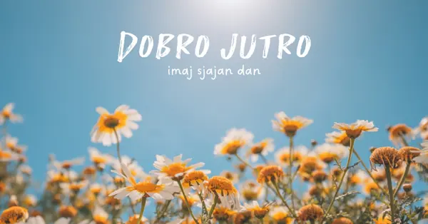 Žestičan dan blue modern,simple,photography,flowers,birght,fresh