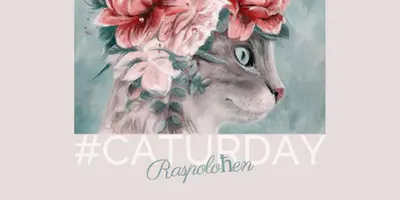 Feline osećanja pink modern-simple