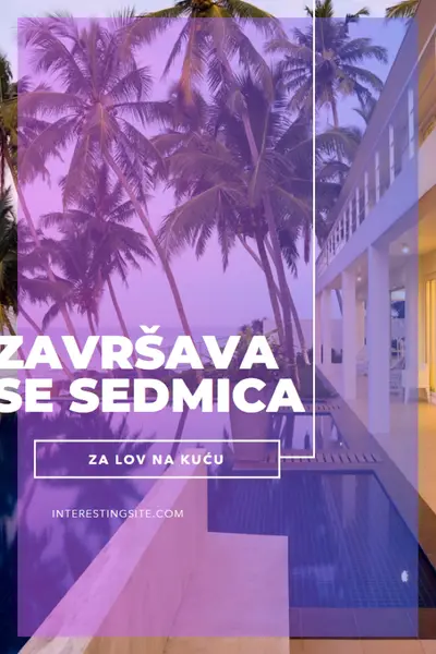 Ostanite da biste bežili purple modern-bold