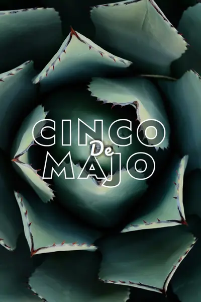 Proslavi Ćinco de Majo green modern-bold
