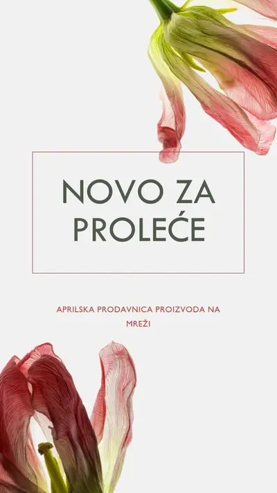 Novo za proleće green modern-simple