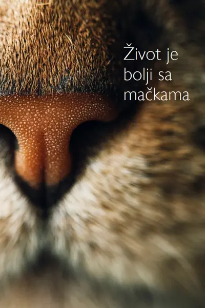 Život je bolji sa mačkama brown modern-simple