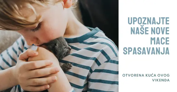 Upoznajte naša nova spasavanja pink modern-simple