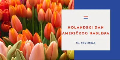Proslava holandskih korena orange modern-simple