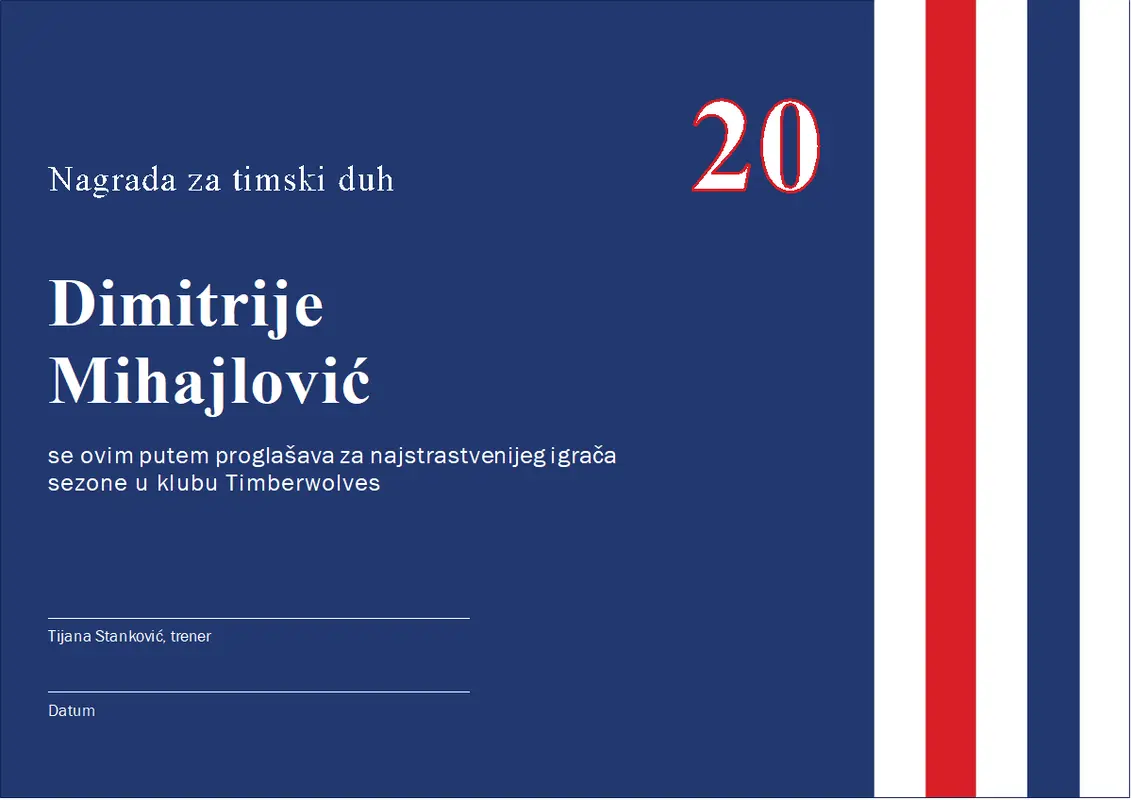 Nagrada za timski duh modern-color-block