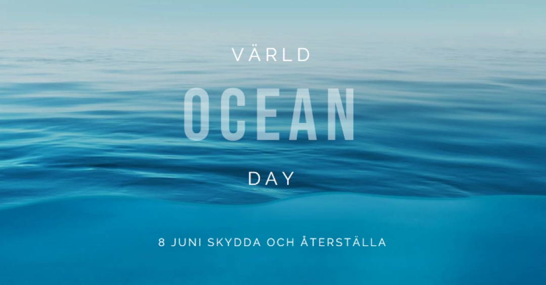 Bli salt blue modern-simple