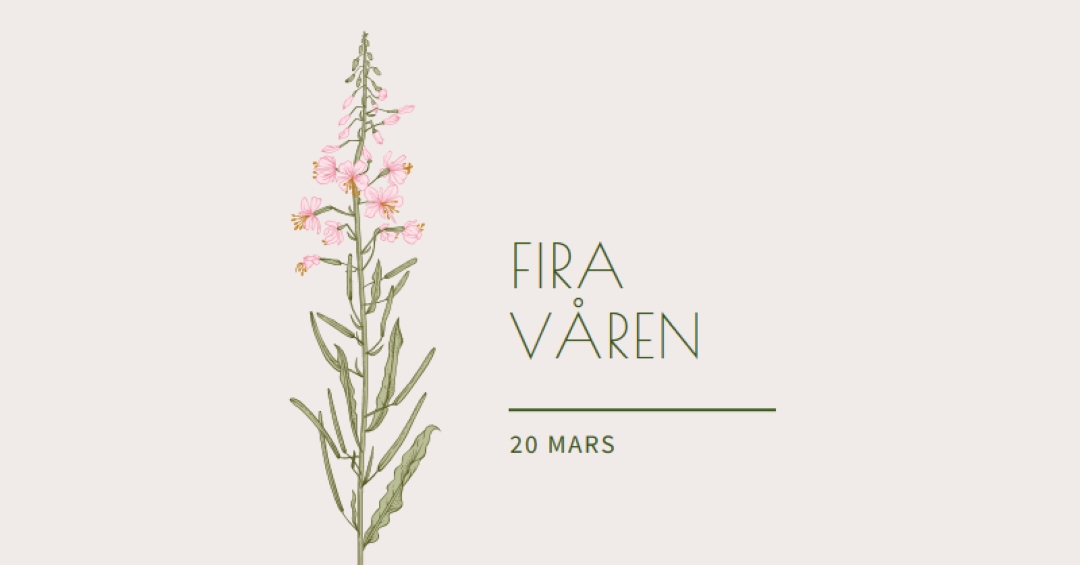 Fira våren white vintage-botanical