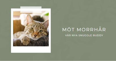 Möt vår nya katt green modern-simple