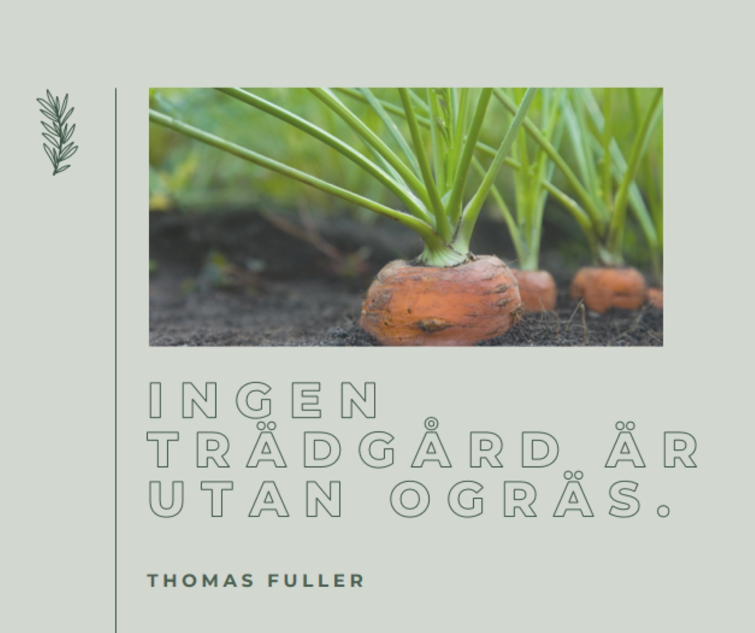 Djupa rötter green modern-simple
