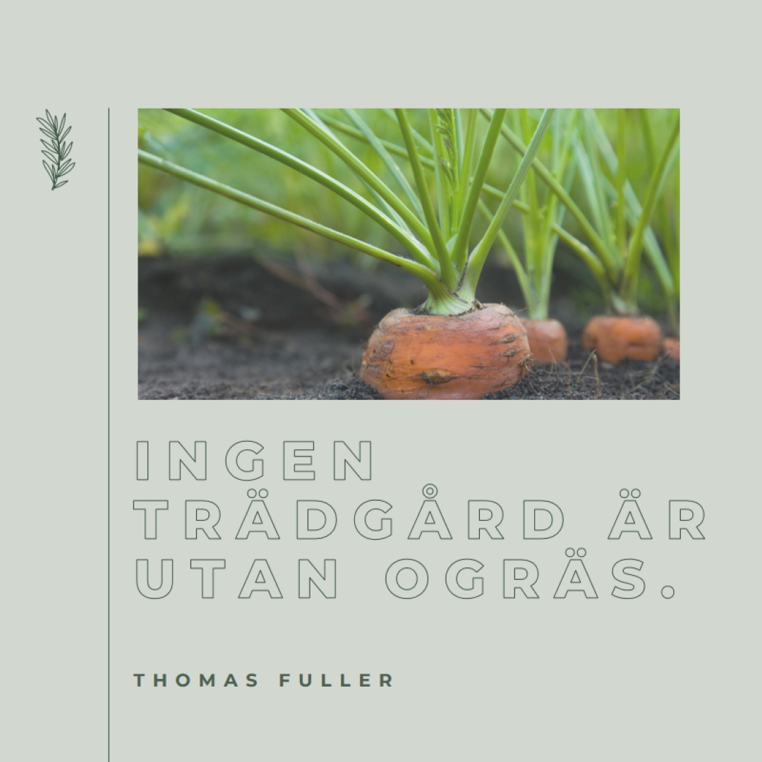 Djupa rötter green modern-simple
