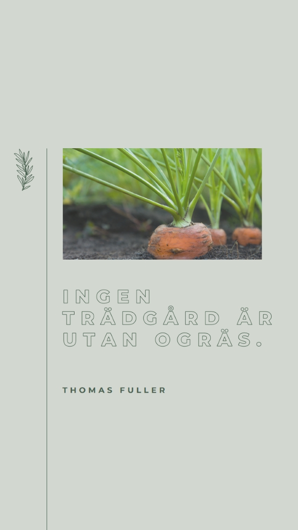 Djupa rötter green modern-simple