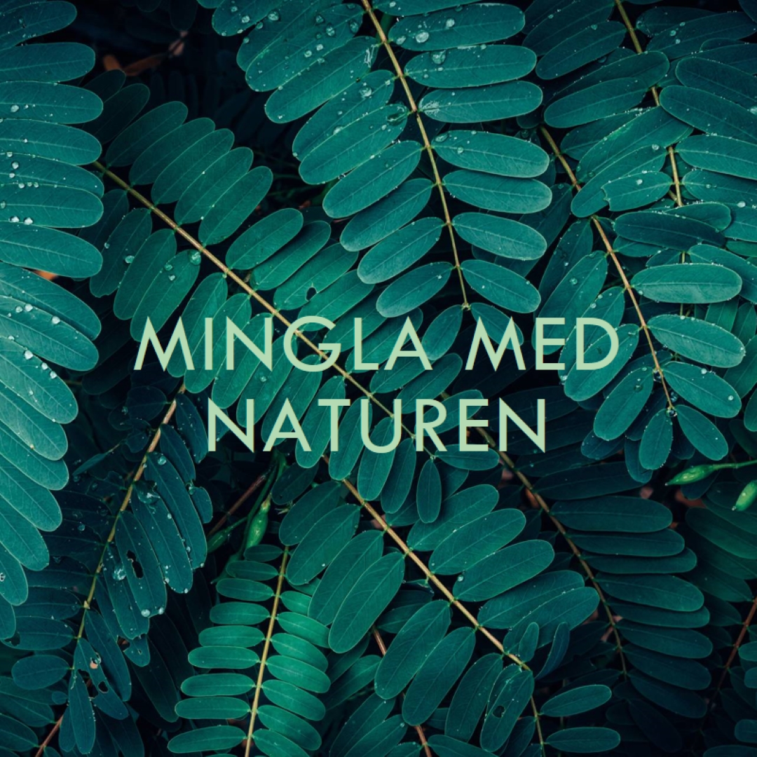 Mingla med naturen green modern-simple