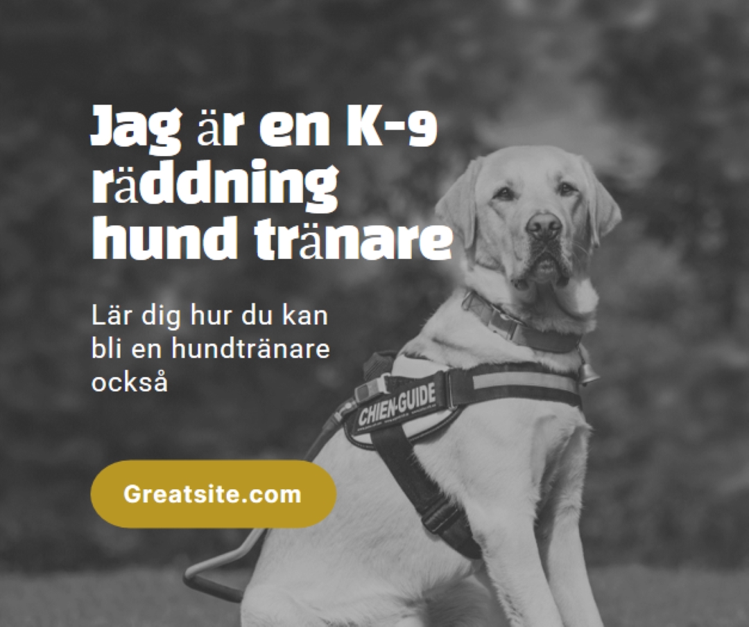 Jag är en rädda hund tränare black modern-simple