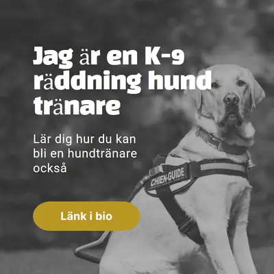 Jag är en rädda hund tränare black modern-simple