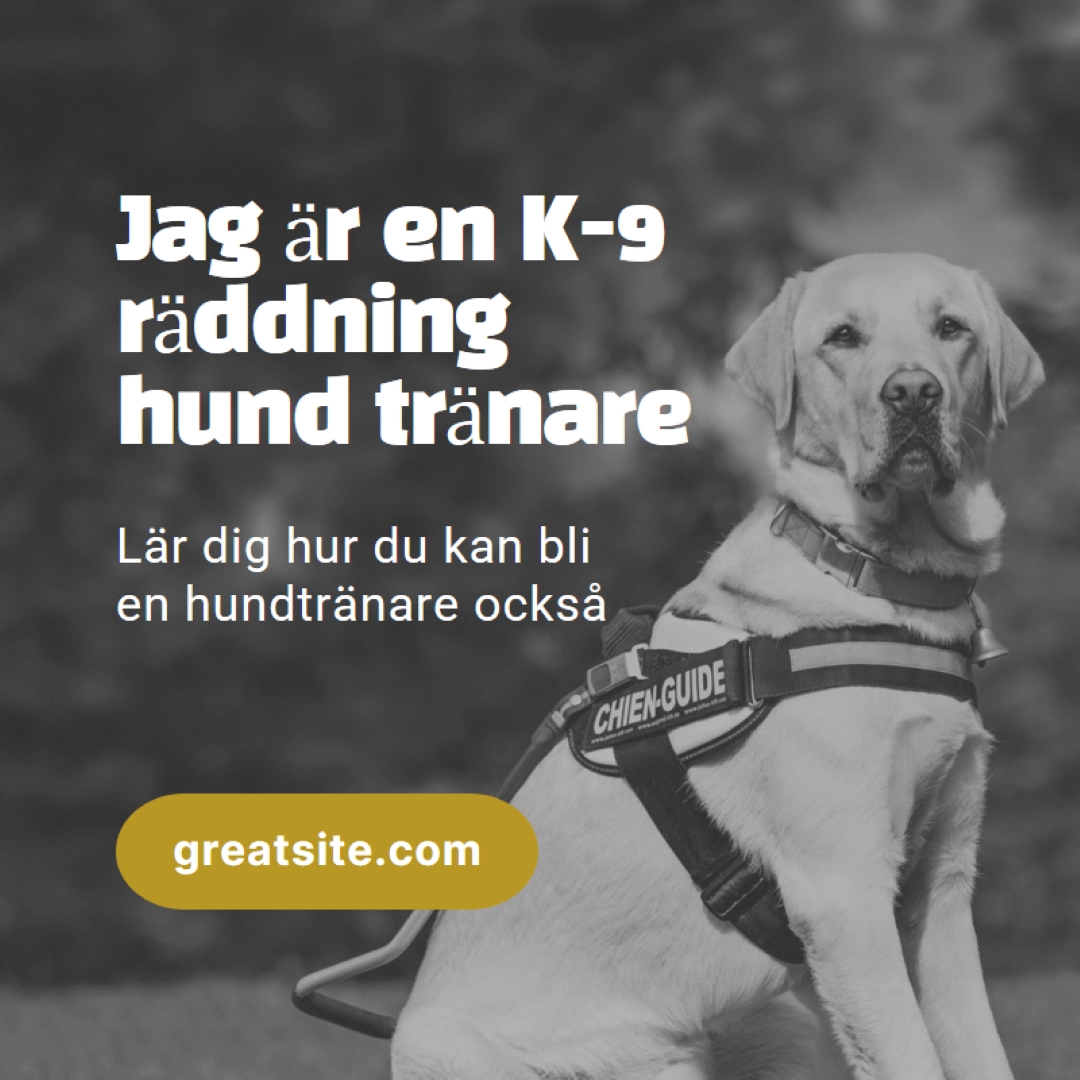Jag är en rädda hund tränare black modern-simple