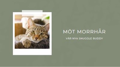 Möt vår nya katt green modern-simple