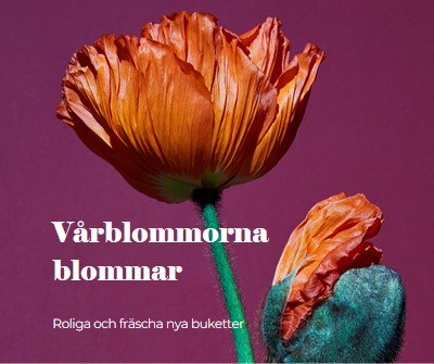 Färska blommor purple modern-simple