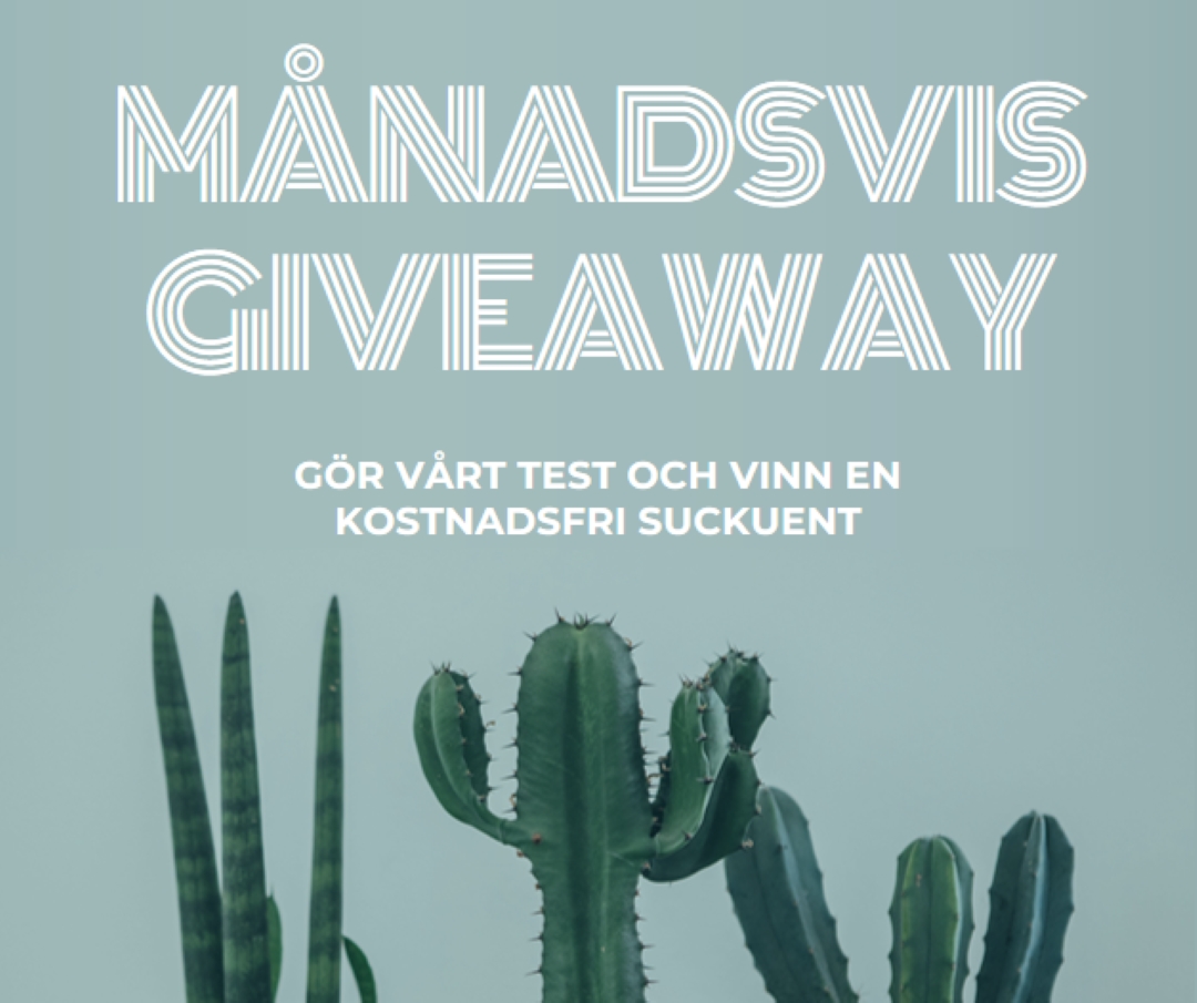 Månatligt giveaway-test green modern-simple