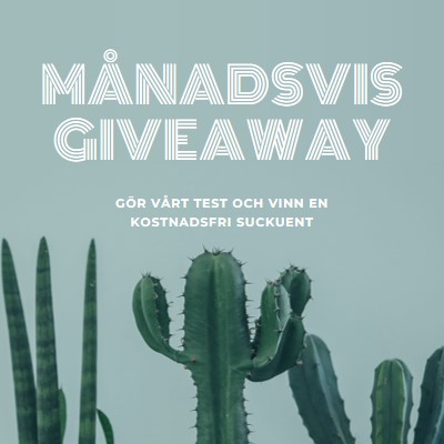 Månatligt giveaway-test green modern-simple