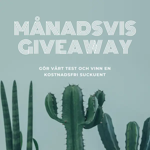 Månatligt giveaway-test green modern-simple