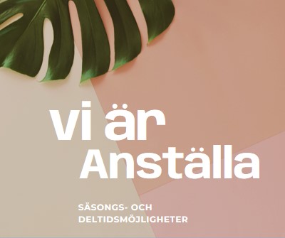 Vi anställer säsongsarbetare pink modern-simple