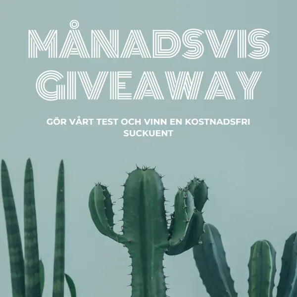 Månatligt giveaway-test green modern-simple