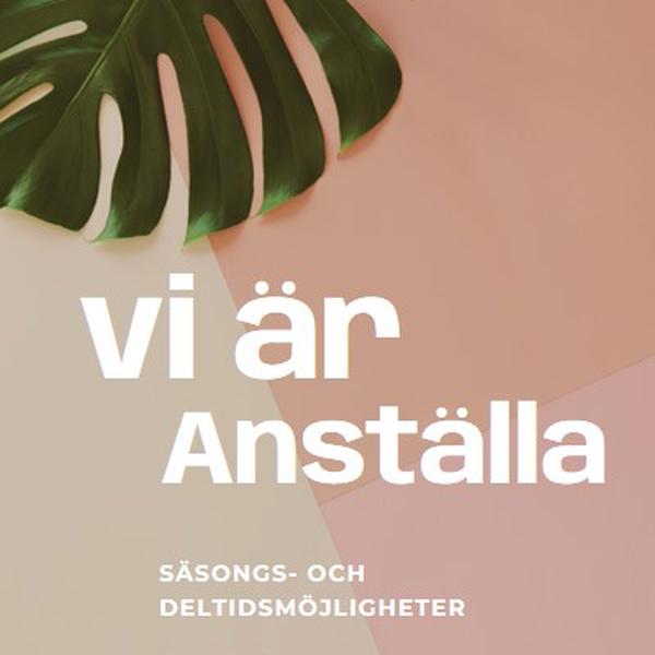 Vi anställer säsongsarbetare pink modern-simple