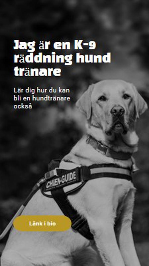 Jag är en rädda hund tränare black modern-simple