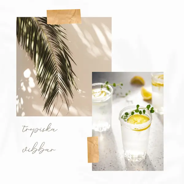 Tropiska cocktail-vibbar white photographic,collage,minimal,scrapbook,handwriting,botanical,