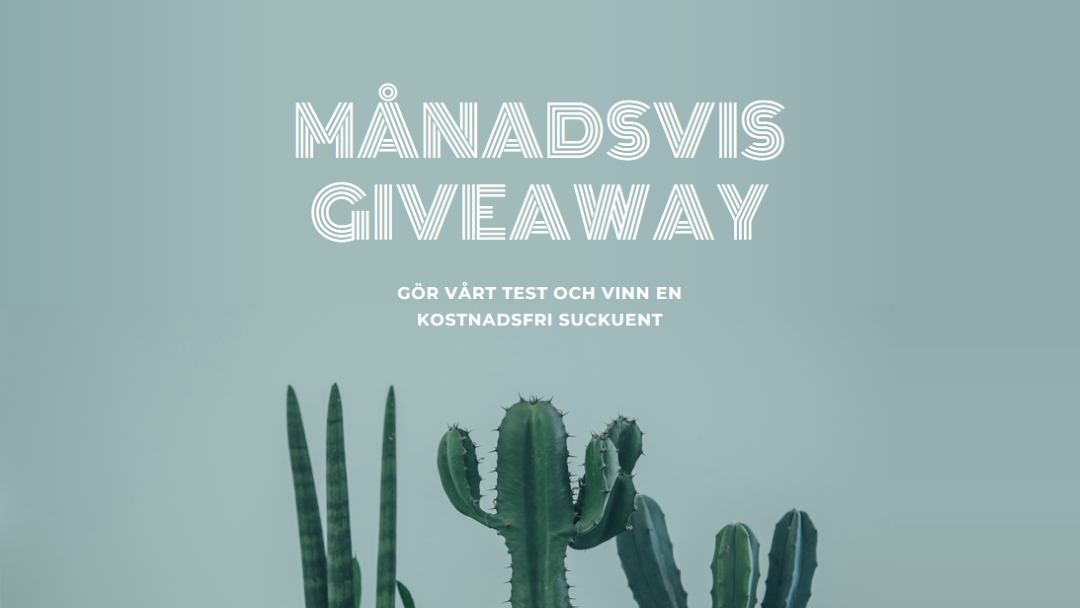 Månatligt giveaway-test green modern-simple