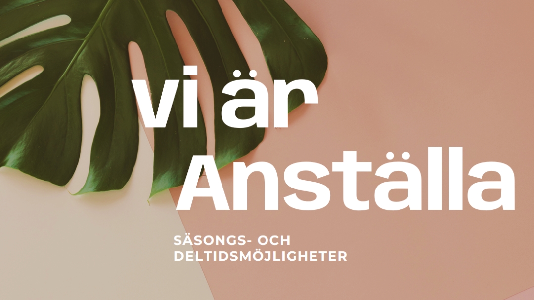 Vi anställer säsongsarbetare pink modern-simple