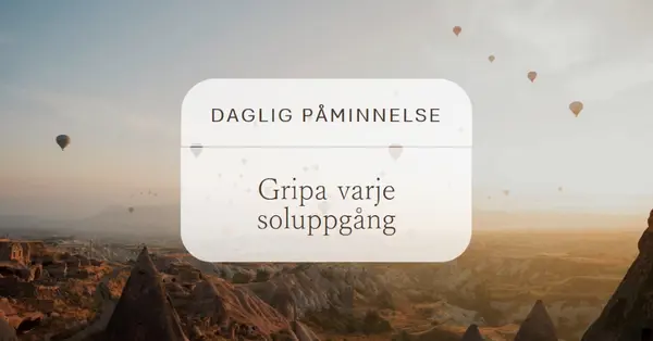 Gripa varje soluppgång brown modern,photo,notification,simple,elegant,