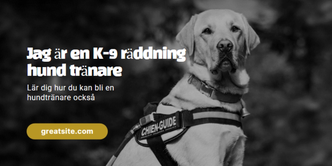 Jag är en rädda hund tränare black modern-simple