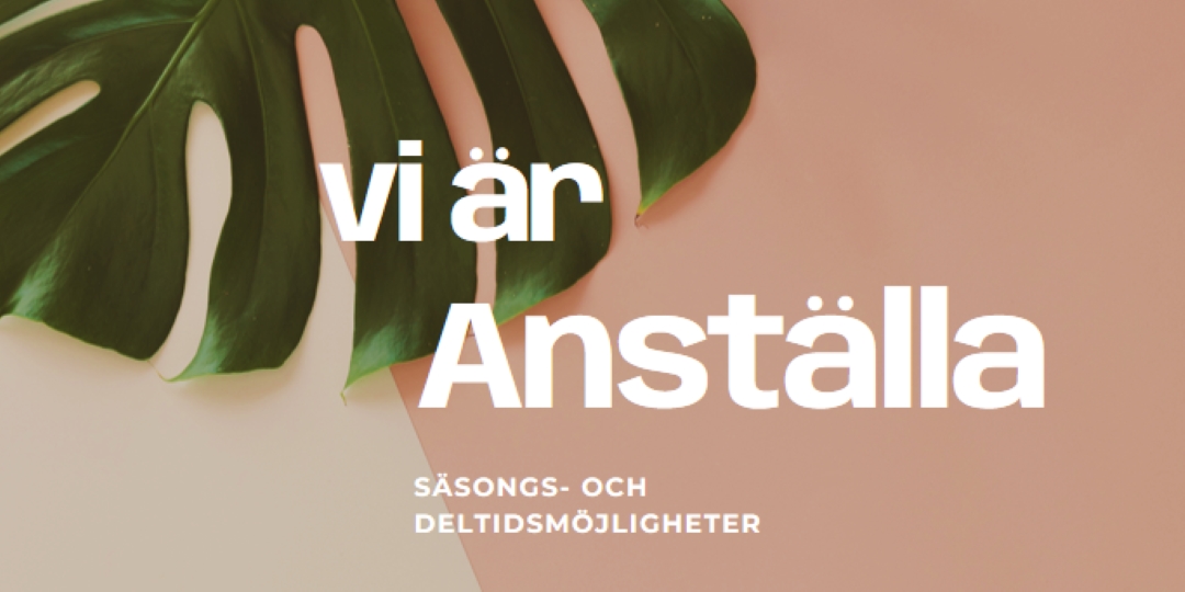 Vi anställer säsongsarbetare pink modern-simple