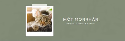 Möt vår nya katt green modern-simple